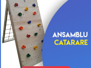 Ansamblu Catarare